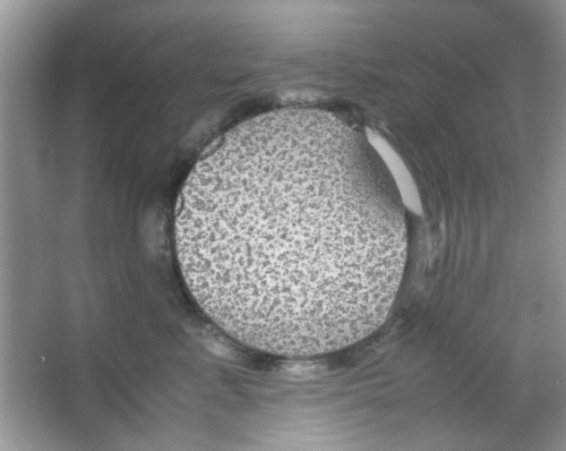 X0000063460619200602171929