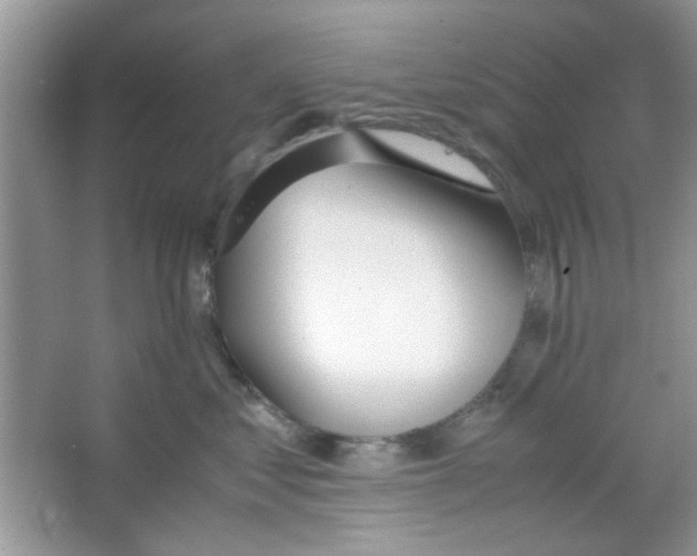 X0000063460621200602171929