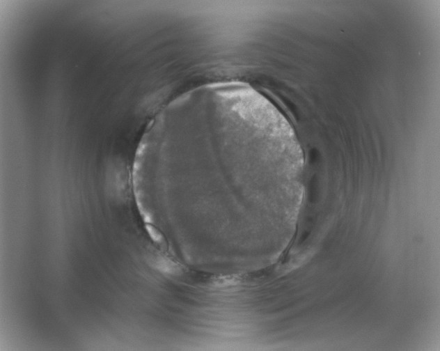 X0000063460624200602171928