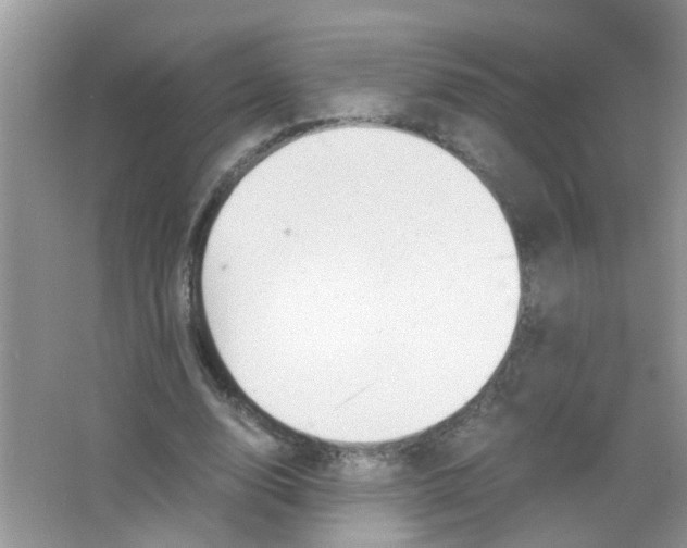 X0000063460632200602171928