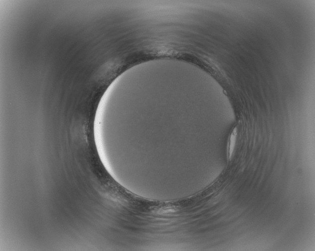 X0000063460643200602171928