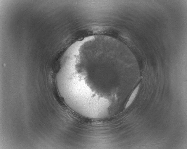 X0000063460650200602171928