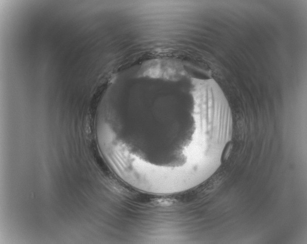 X0000063460654200602171928