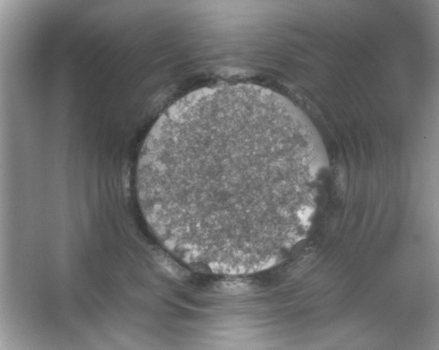 X0000063460668200602171928