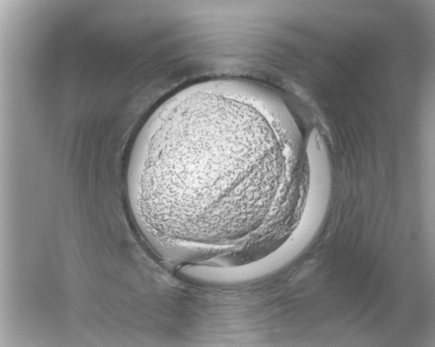 X0000063460673200602171928