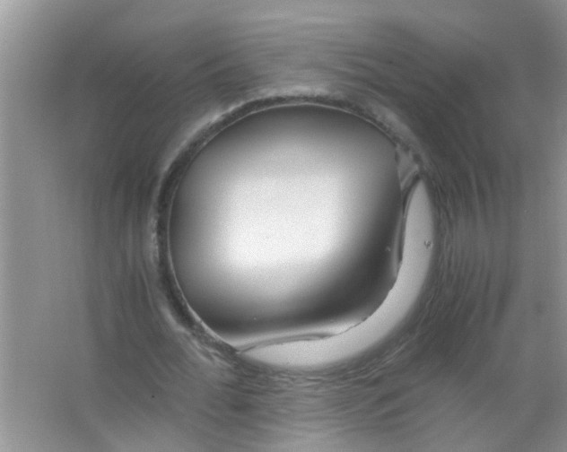 X0000063460676200602171928
