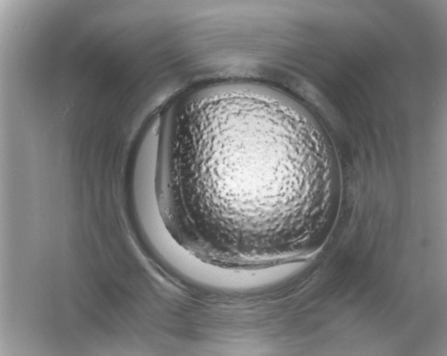 X0000063460677200602171928