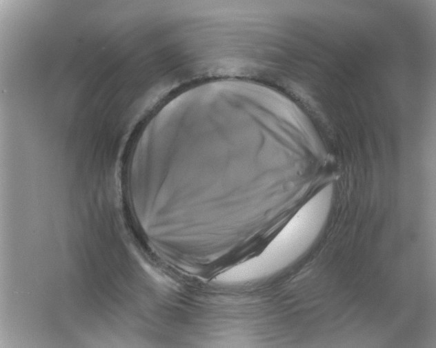 X0000063460678200602171927