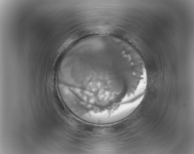 X0000063460679200602171927