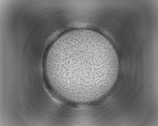 X0000063460682200602171927