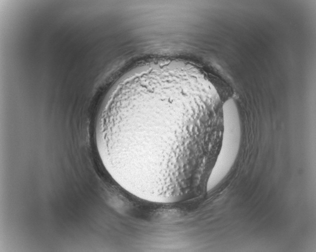 X0000063460685200602171927