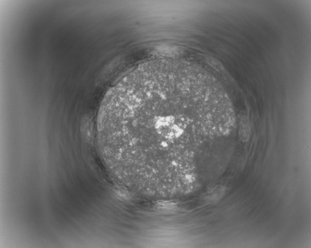 X0000063460701200602171927