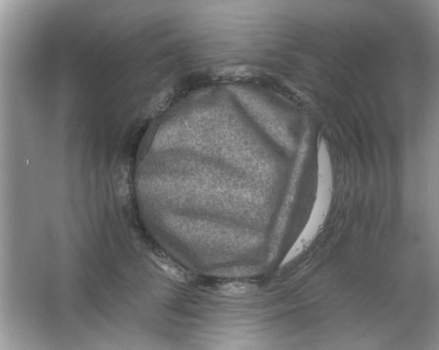 X0000063460708200602171927
