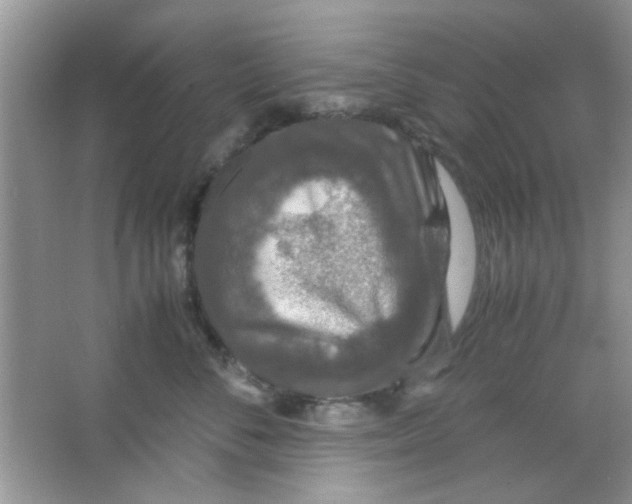 X0000063460716200602171927