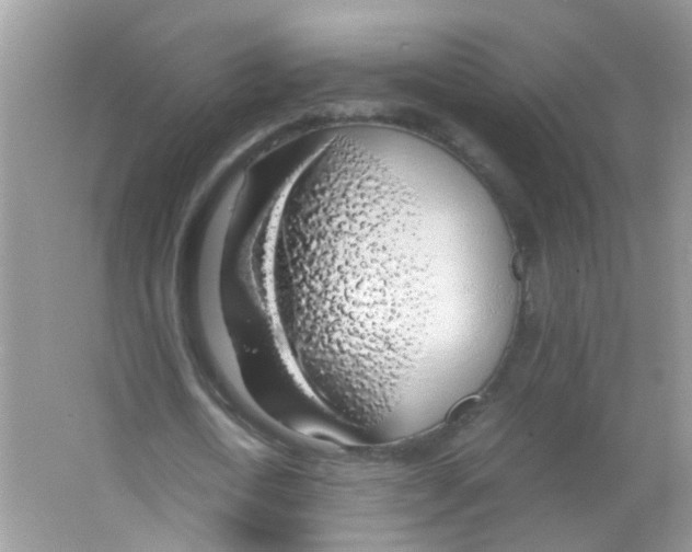 X0000063460722200602171926