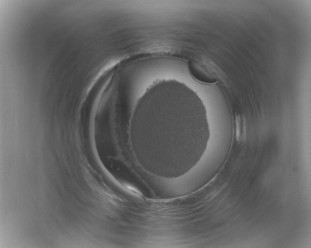 X0000063460723200602171926