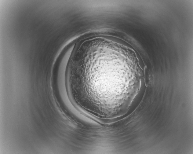 X0000063460724200602171926