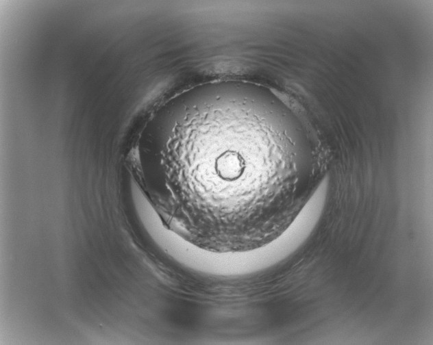 X0000063460735200602171926