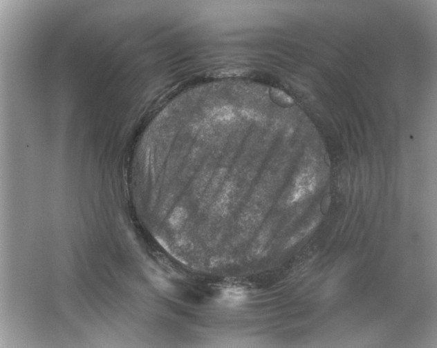 X0000063460743200602171926