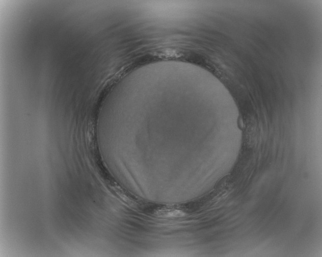 X0000063460747200602171926