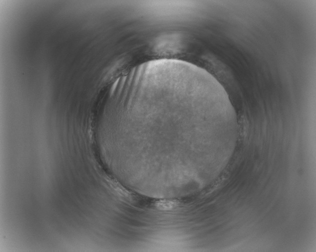 X0000063460762200602171927