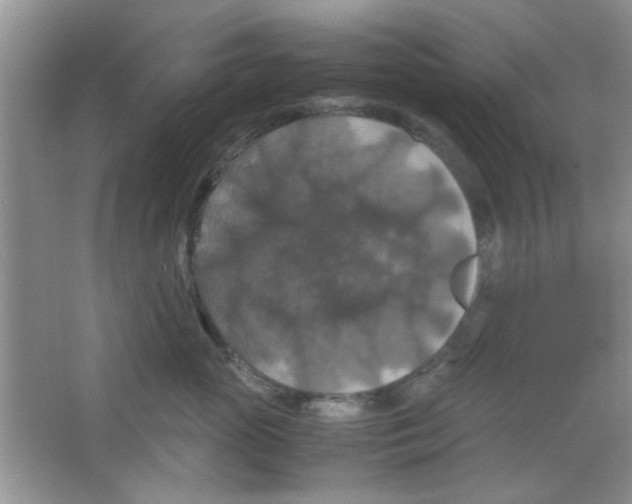 X0000063460765200602171927
