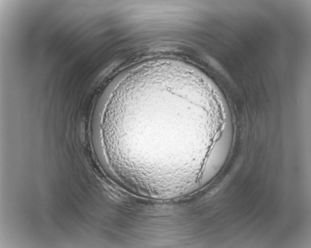 X0000063460777200602171926