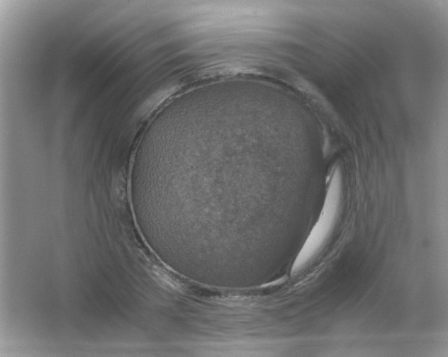X0000063460785200602171926