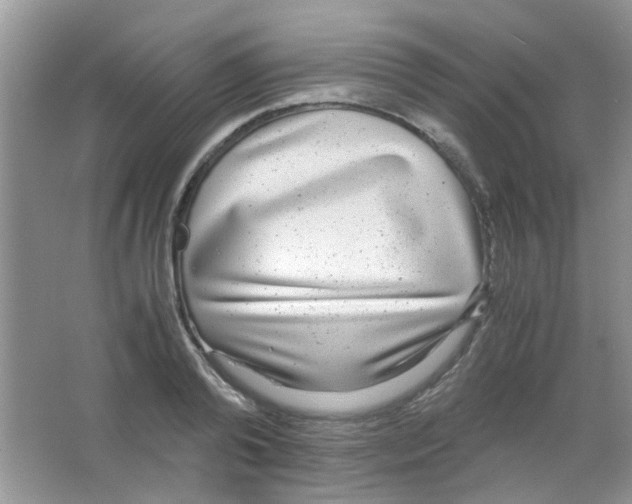 X0000063460792200602171925