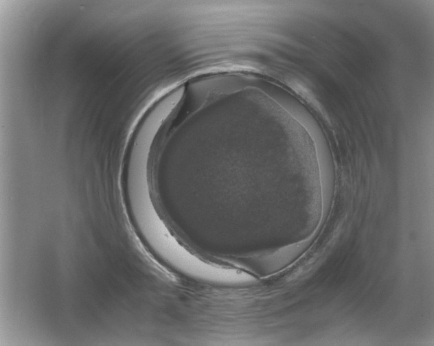 X0000063460797200602171925