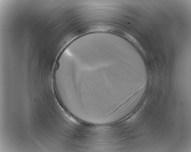 X0000063460802200602171925