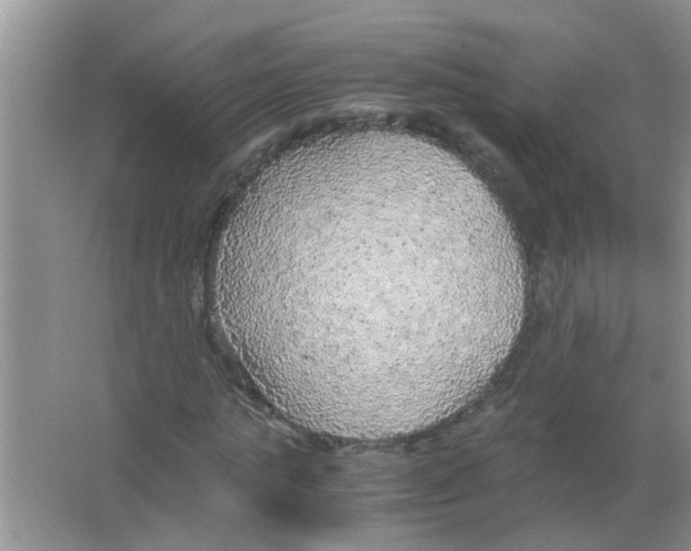 X0000063460821200602171924
