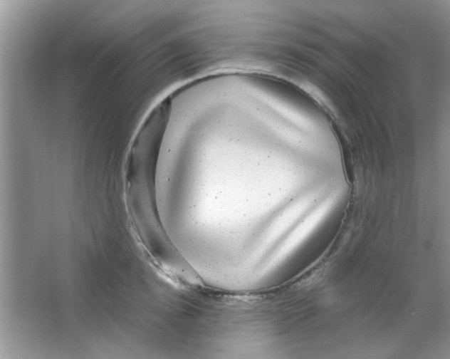 X0000063460854200602171925