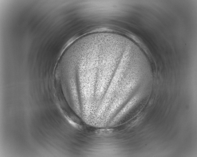 X0000063460858200602171925