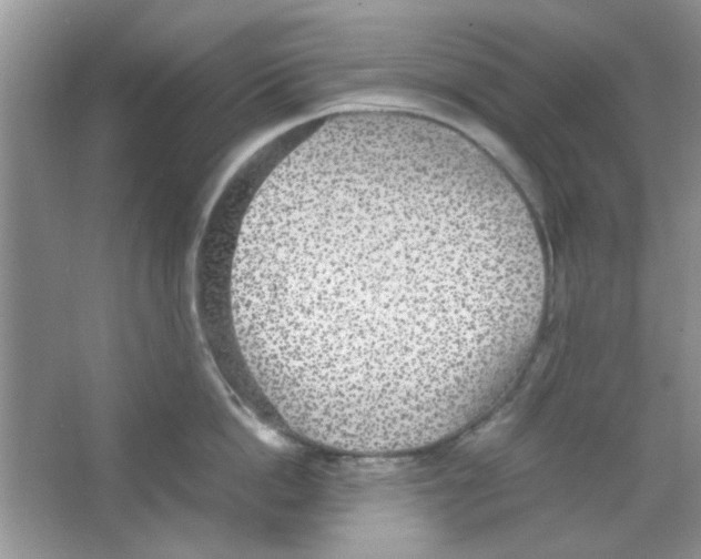 X0000063460862200602171925