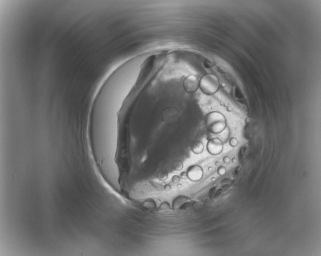 X0000063460863200602171925