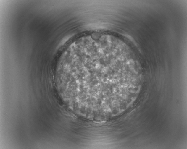 X0000063460871200602171924