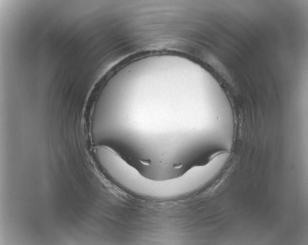 X0000063460876200602171924
