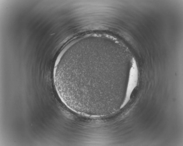 X0000063460881200602171924