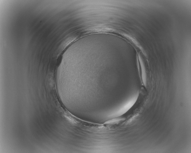 X0000063460889200602171924