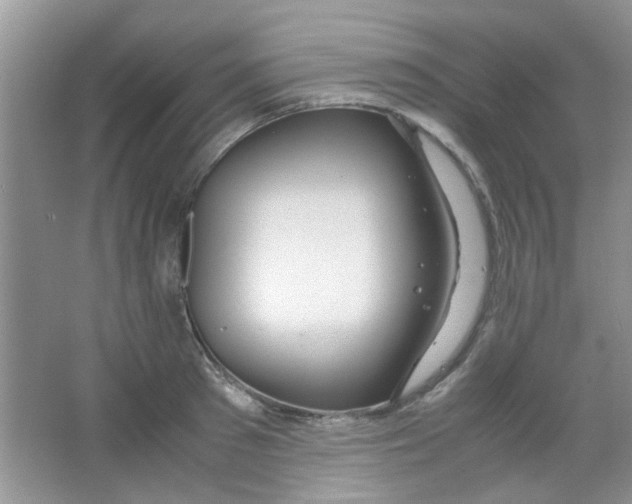 X0000063460897200602171923