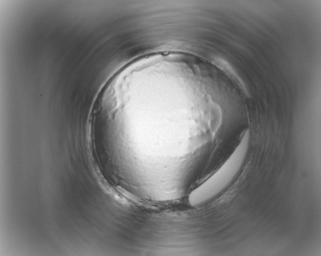X0000063460900200602171923