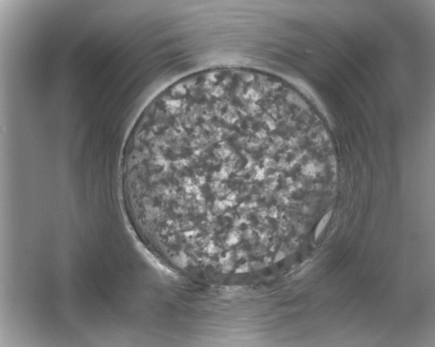 X0000063460903200602171923