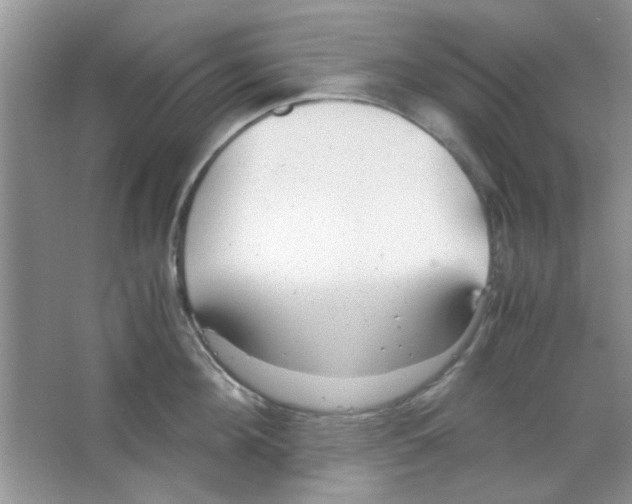X0000063460908200602171923