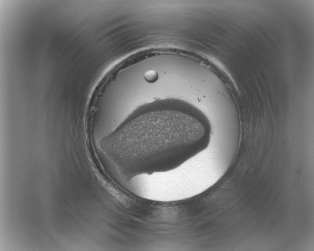 X0000063460935200602171923