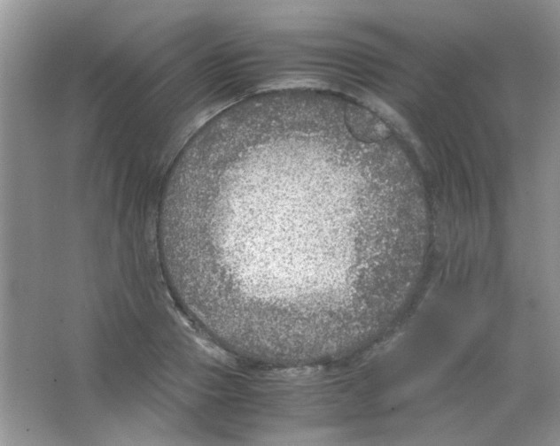 X0000063460937200602171923
