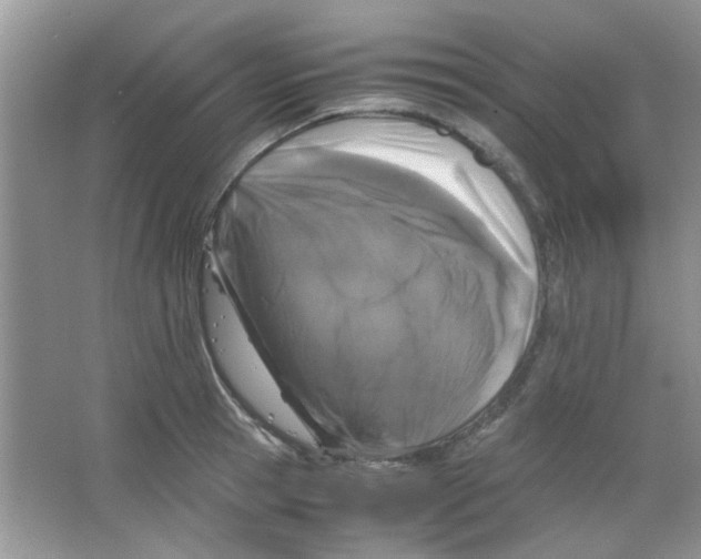 X0000063460945200602171923