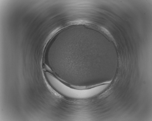 X0000063460946200602171923