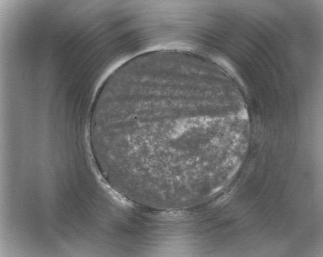 X0000063460952200602171923
