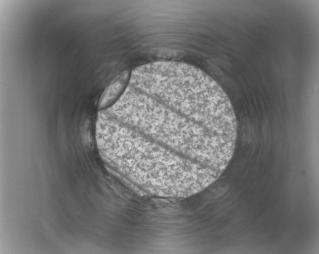 X0000063460962200602171922